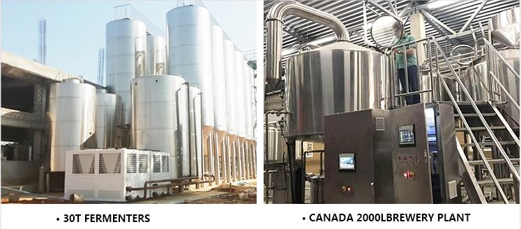 brewercase